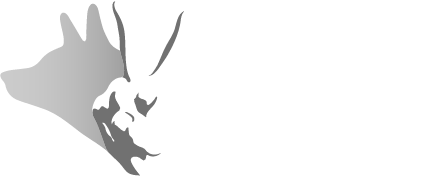 National Indigenous Mental Health and Suicide Prevention Conference ...