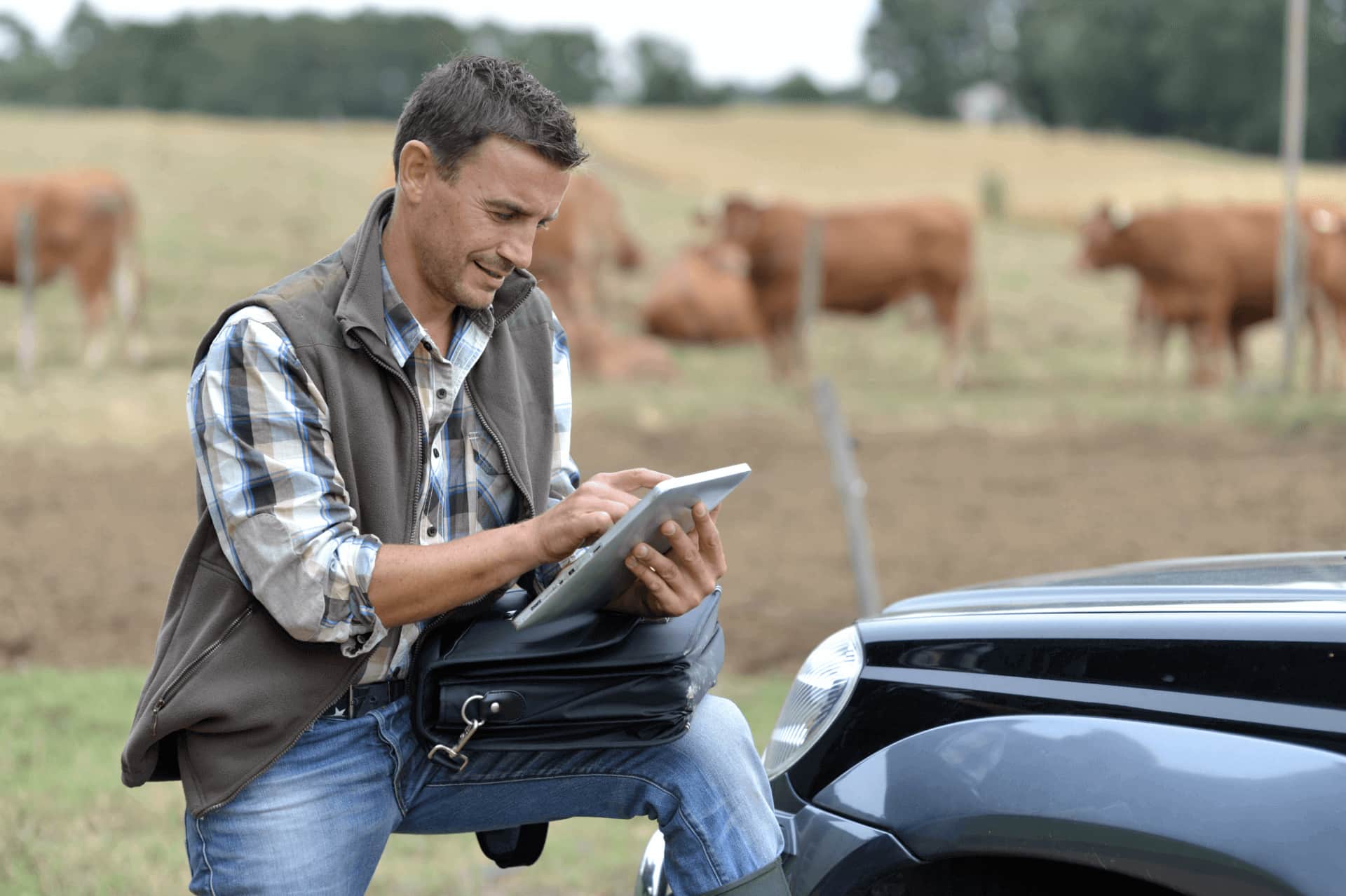 photo of man leaning on car in field looking at tablet