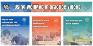 Using Wellmob in practice videos